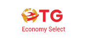 DHL Economy Select Import